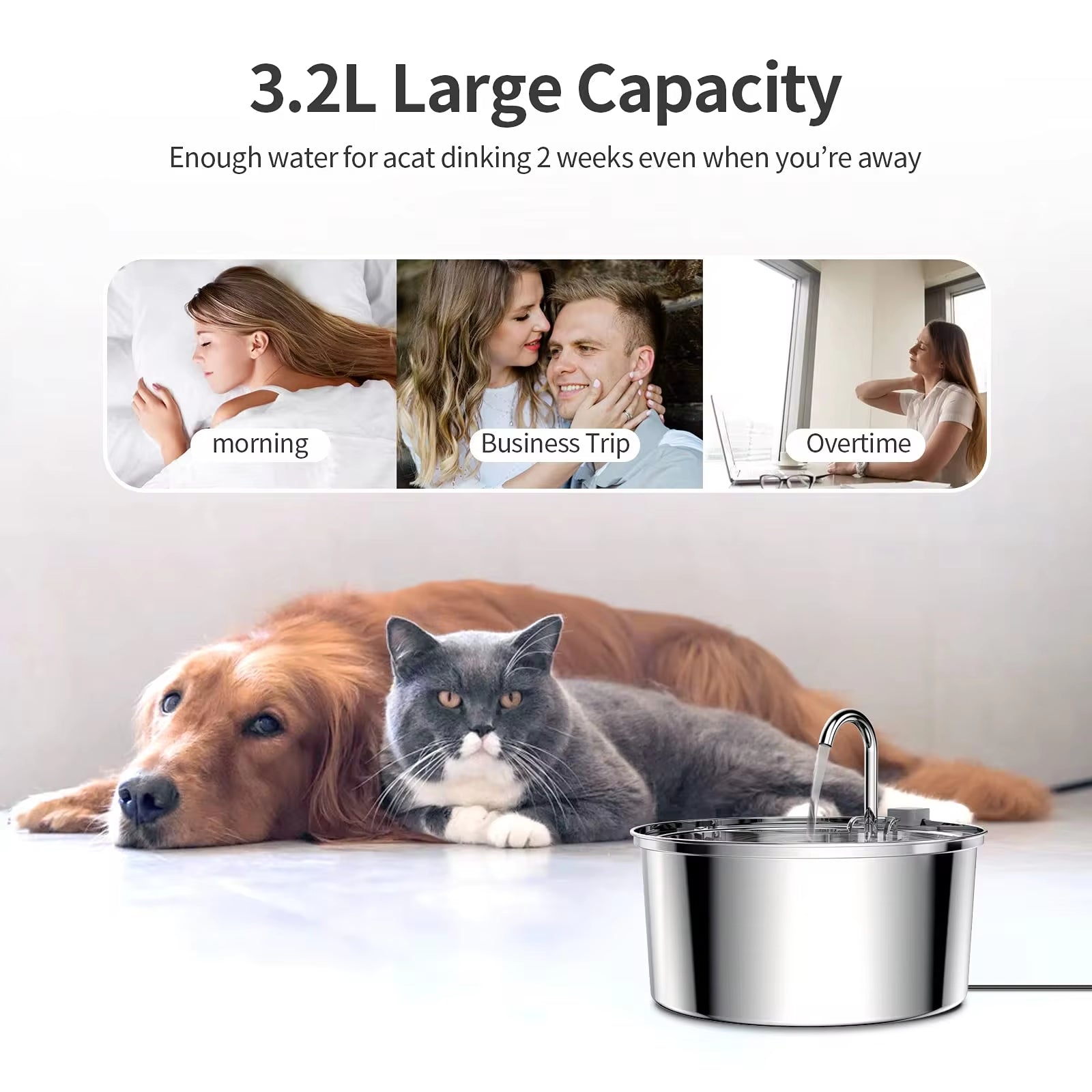 "Smart Stainless Steel Cat Water Fountain with Sensor Filter - Quiet Automatic Dispenser for Dogs and Cats!"